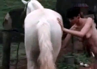 The main star of this amazing beast sex vid is a white pony