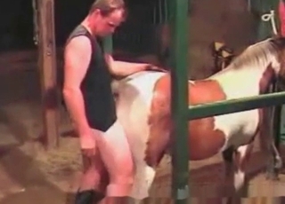 Impressive action with a sexy horse