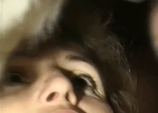 2 ladies are frolicking with a pony