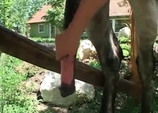 Lewd female is trying to wank a pony cock