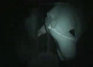 Perfect night bestiality with my horse