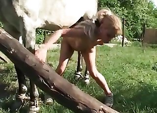 Hung horse pulverizing doggy style