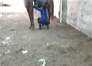 The star of this video is a horse that shits in the barn