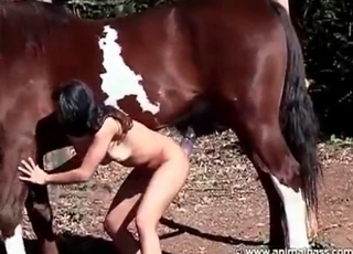 Stallion is eyeing an impressive striptease