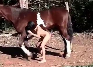 Stallion is eyeing an impressive striptease