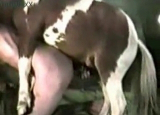 Stallion demonstrates his skills