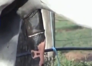 Gigantic loaded sausage of a stallion