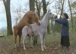 2 hot stallions in awesome zoophilia XXX