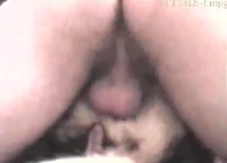 Dude eating this dog's tight cunt