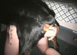 Crazy hot doggy licked and sucked by wife