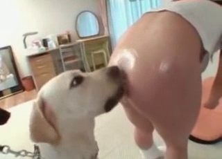 Japanese zoophile and a sexy doggy