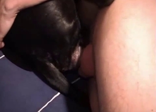 Sticking my hard penis in the ass of a sweet dog
