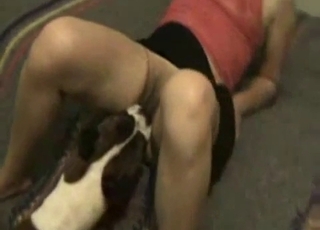 Impressive action with a horny beast