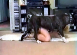 Small accurate pussy fucked by a nice puppy