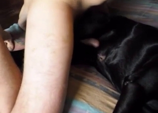 That black dog is the sluttiest