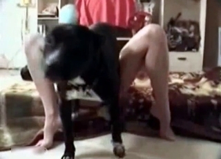 Zoo porn with dog and its master