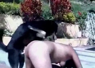 Outdoor sex with an innocent doggy