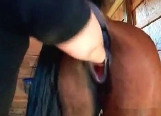 Guy fist-fucking a sexy horse