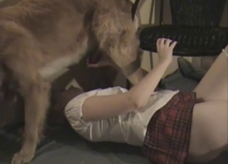 Hungry cunt nicely rammed by a doggy