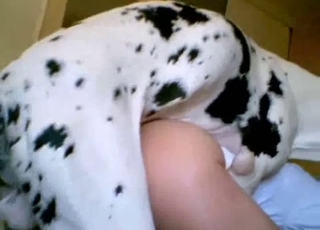 Sexy pooch pounding from behind