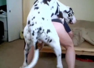 Sexy pooch pounding from behind