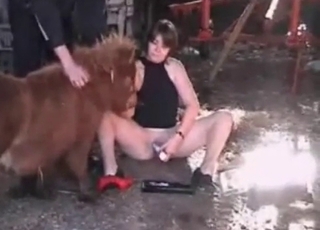 Amazing person is having oral sex session with a pony