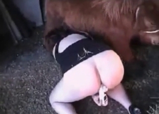 Amazing person is having oral sex session with a pony