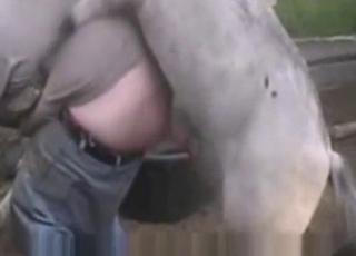 Amazing stallion is filmed in a passionate close up