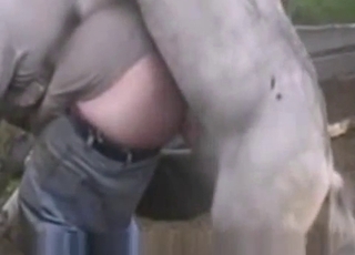 Amazing stallion is filmed in a passionate close up