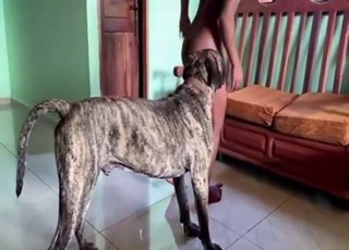 Flexible brunette arching her back during dog sex