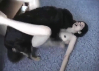 Fit-and-frisky lady gets fucked on the floor