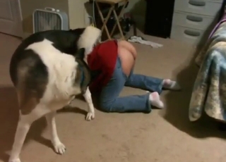 Good-looking lady wants to fuck her sexy dog