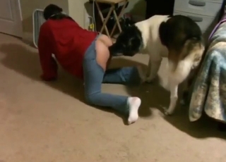 Good-looking lady wants to fuck her sexy dog
