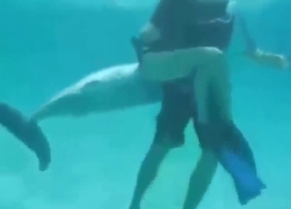 Taboo dolphin encounter with lots of teasing