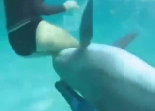 Taboo dolphin encounter with lots of teasing