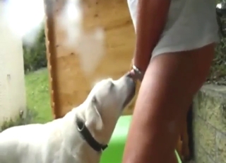 Guy's wrinkly asshole licked by a sexy dog