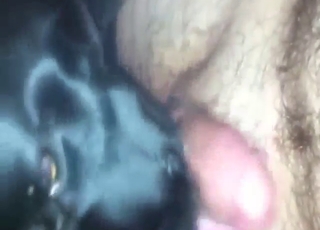 Zoo sex with his own roommate's sexy mutt