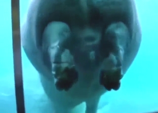Scat-themed zoophile porn with plenty of teasing
