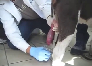 Seed sampling and tasting scheduled for later