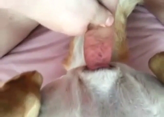 Impressive zoo fuck with a guy's veiny cock