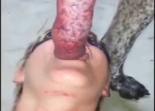 Dog-loving slut is going to worship that peen