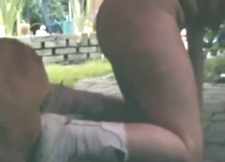 Outdoor fuck with a Golden Retriever being bad