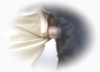 Black beast enjoying human cock in a fun vid