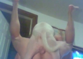 Anal pleasure for a dude who gets off real hard