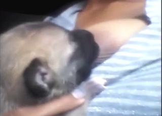 Breast feed porn with a sexy dog being kinky