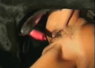 Bestiality sex with a trimmed gal and her dog