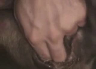 Zoo sex with messy close-ups and loud monas