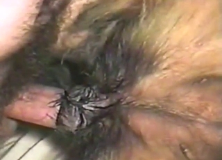 Amazing close-ups with a sexy beast