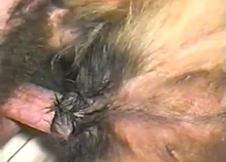 Amazing close-ups with a sexy beast