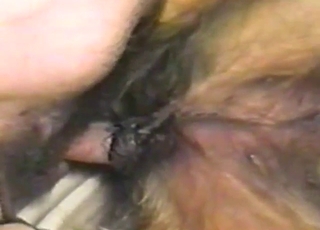 Amazing close-ups with a sexy beast